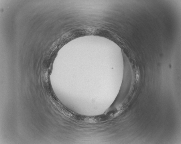 X0000051250613200507152151