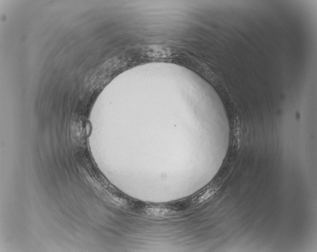 X0000051250614200507152151