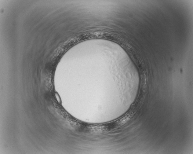 X0000051250615200507152151