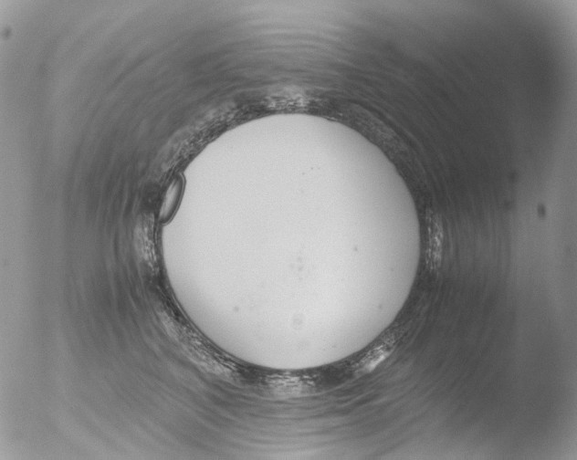 X0000051250616200507152151