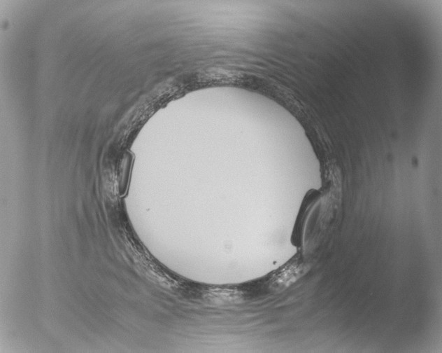 X0000051250617200507152151