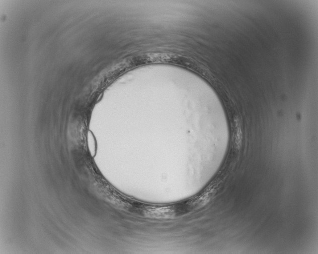 X0000051250619200507152151