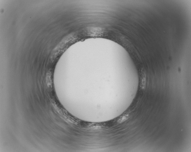 X0000051250620200507152151