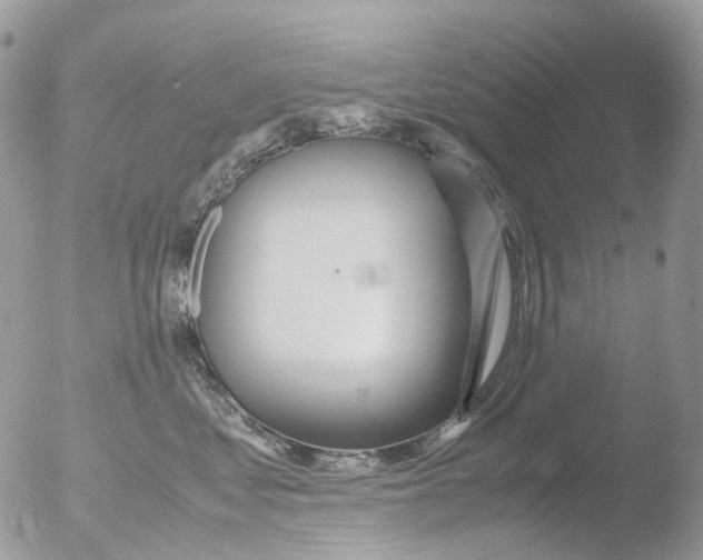 X0000051250621200507152151