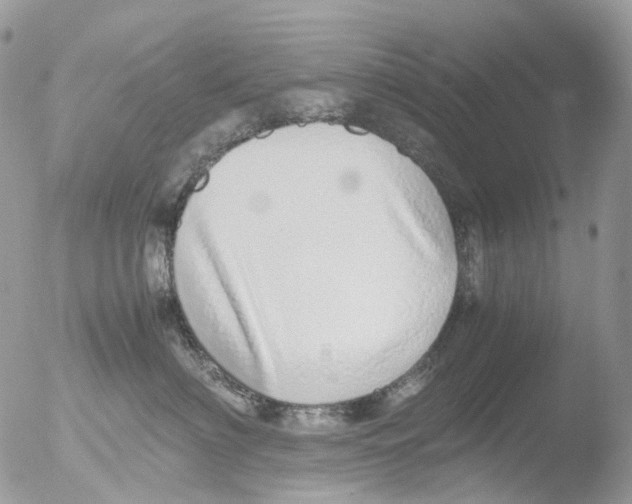 X0000051250622200507152151