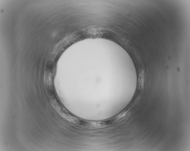 X0000051250623200507152151