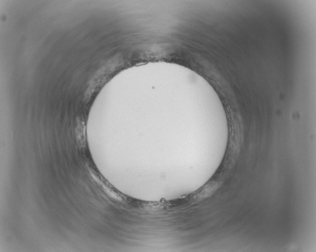 X0000051250624200507152151