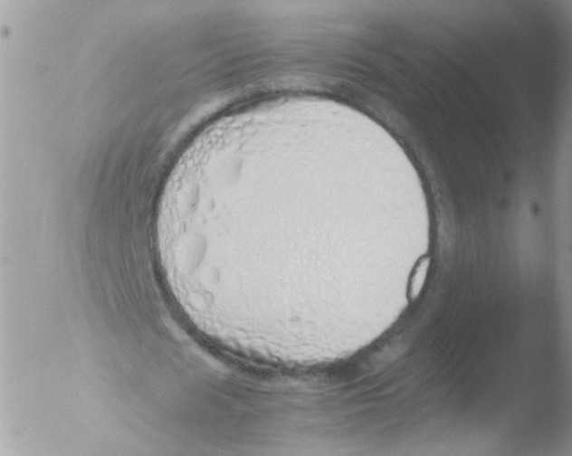 X0000051250625200507152150