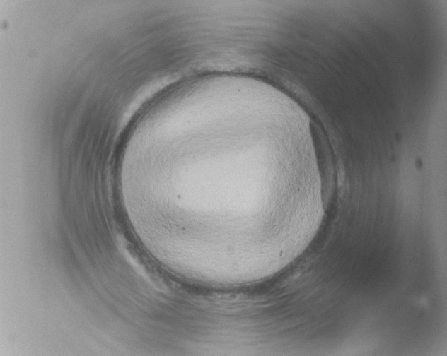 X0000051250626200507152150