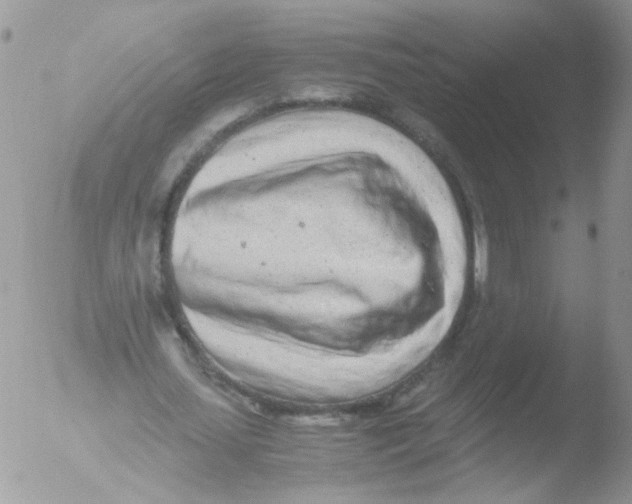 X0000051250627200507152150