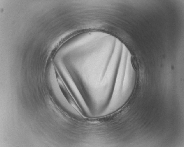 X0000051250628200507152150