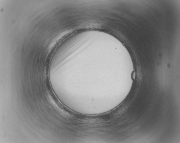 X0000051250629200507152150