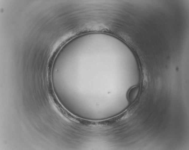 X0000051250630200507152150