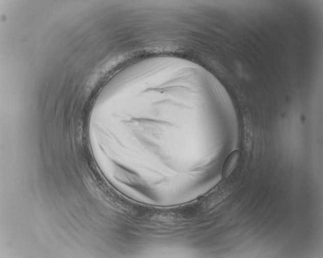 X0000051250631200507152150