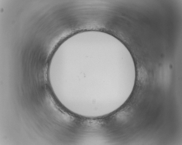 X0000051250632200507152150