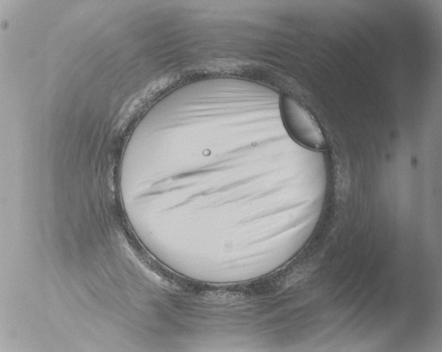 X0000051250633200507152150