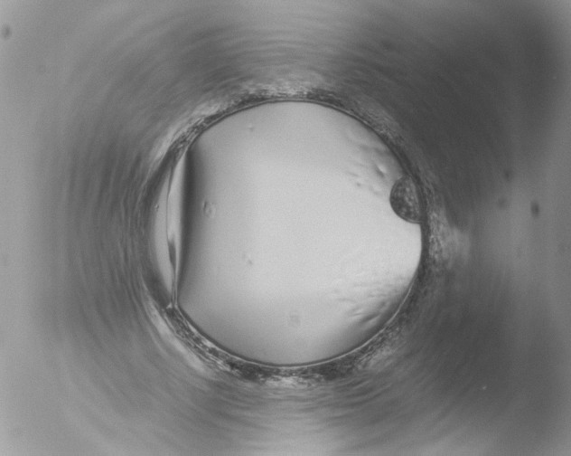 X0000051250634200507152150