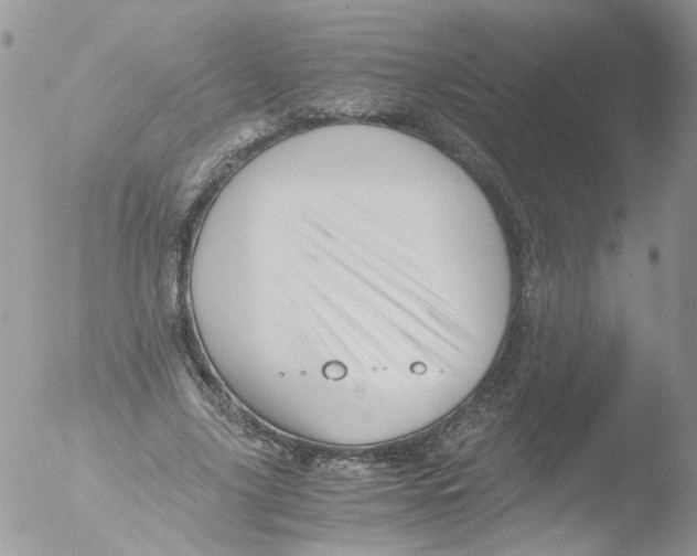 X0000051250635200507152150