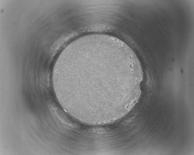 X0000051250636200507152150