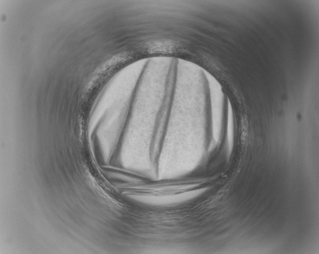 X0000051250637200507152150