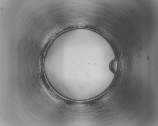 X0000051250638200507152150