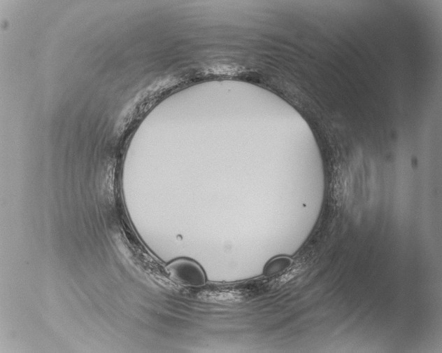 X0000051250639200507152150