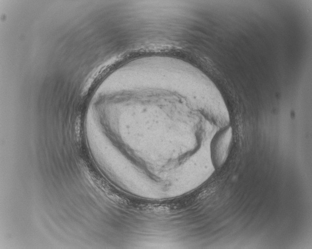 X0000051250640200507152150