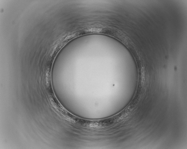 X0000051250641200507152150