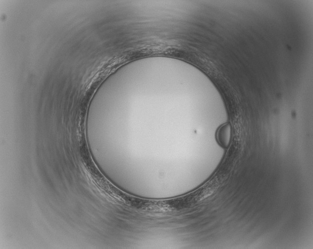 X0000051250642200507152150