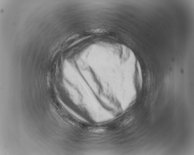 X0000051250643200507152150