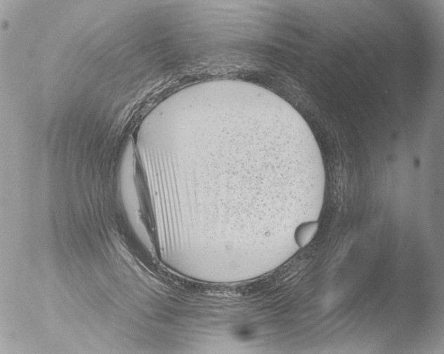 X0000051250644200507152150