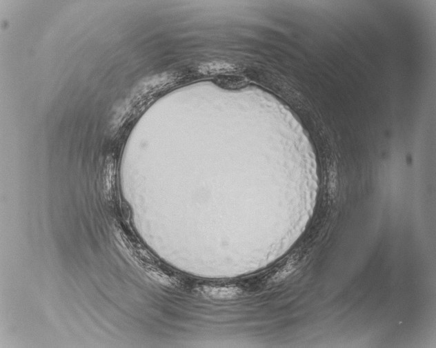 X0000051250645200507152150