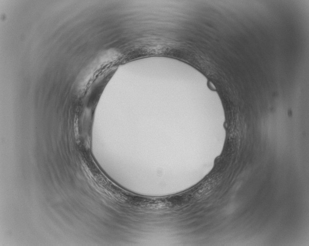 X0000051250646200507152150