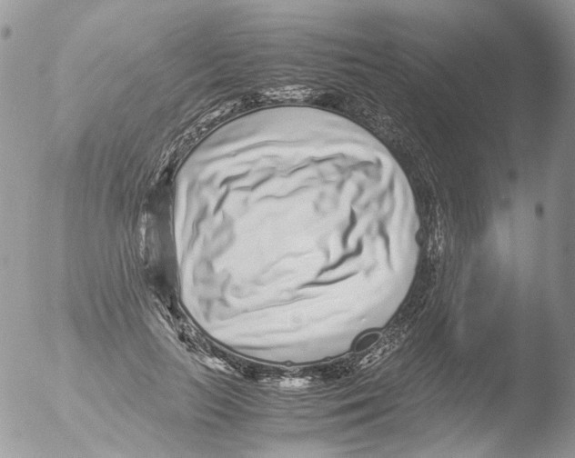 X0000051250647200507152150