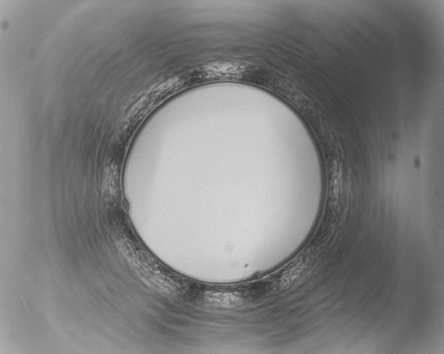 X0000051250649200507152151