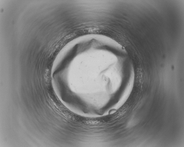 X0000051250650200507152151