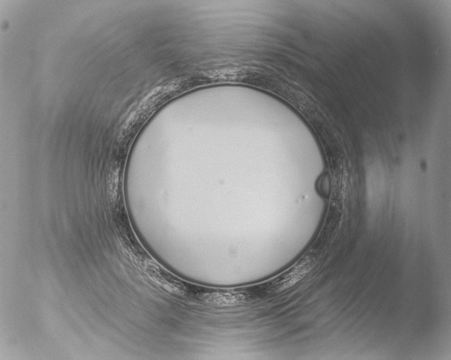 X0000051250652200507152151