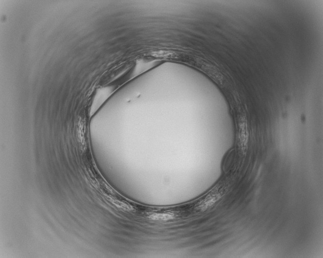 X0000051250653200507152151