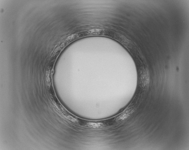 X0000051250654200507152151