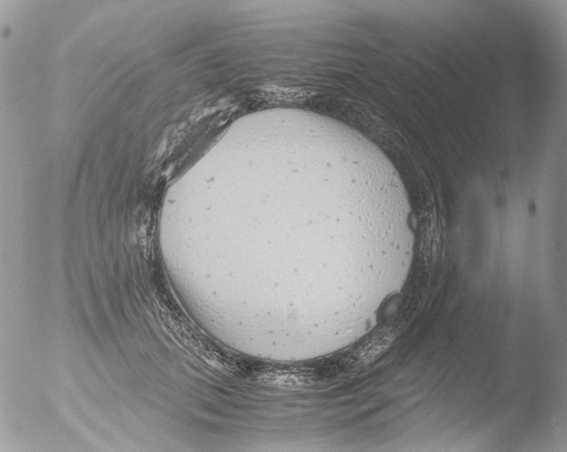 X0000051250655200507152151