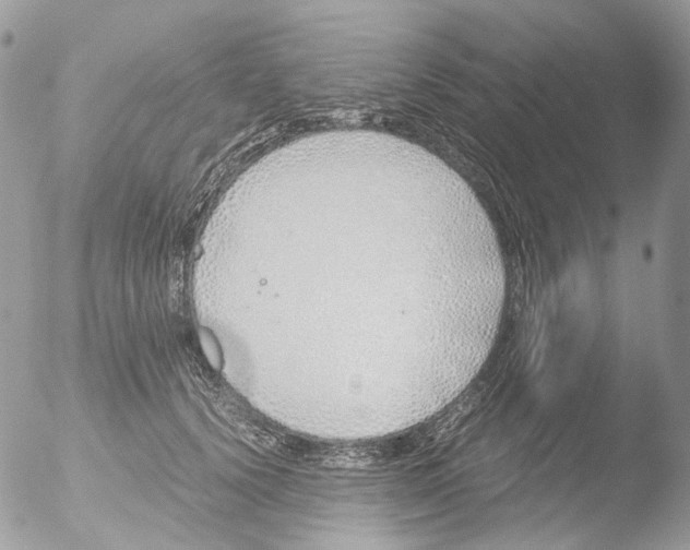 X0000051250656200507152151