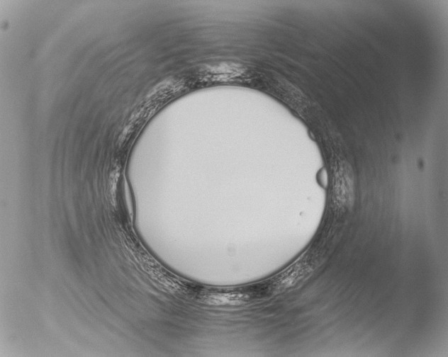 X0000051250657200507152151