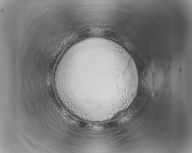 X0000051250658200507152151