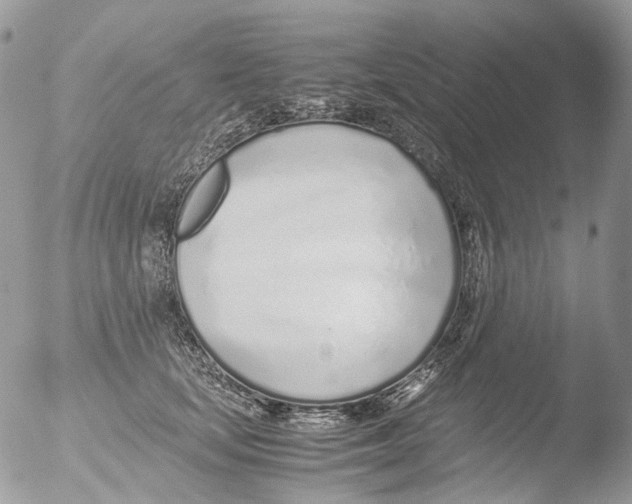 X0000051250659200507152151