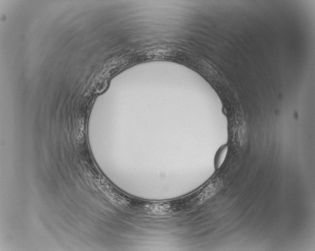 X0000051250660200507152151