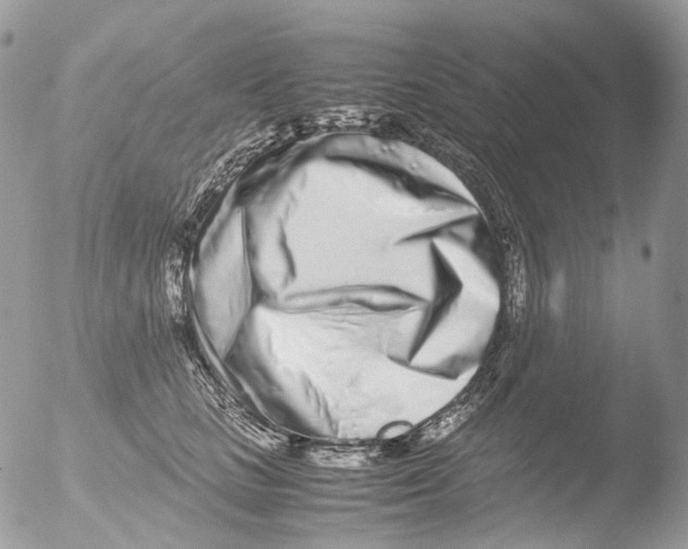 X0000051250661200507152151