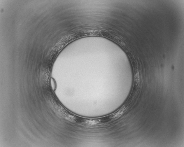 X0000051250662200507152151