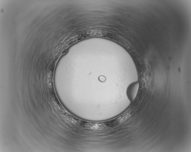 X0000051250663200507152151