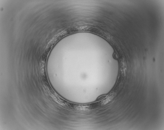 X0000051250664200507152151