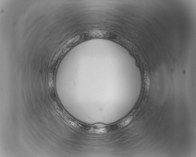 X0000051250665200507152151